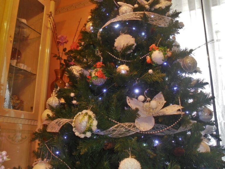 Il nostro albero bianco e argento 5 DSC04253 scaled 1